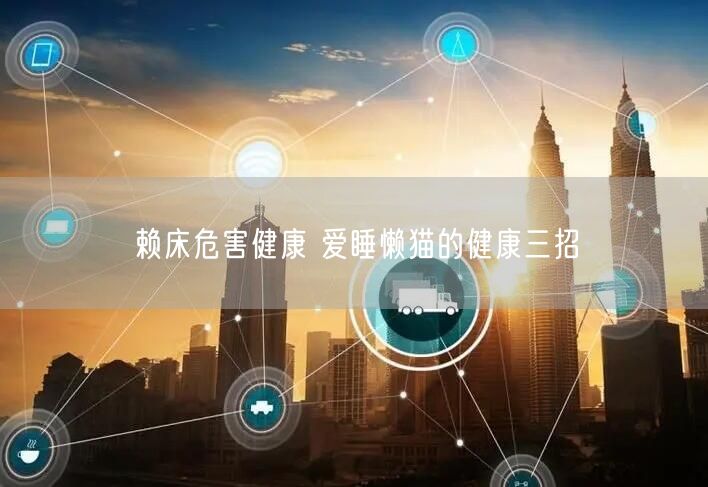 赖床危害健康 爱睡懒猫的健康三招