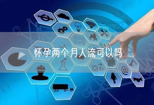 怀孕两个月人流可以吗